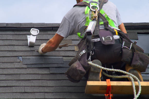 Best Roof Gutter Cleaning  in Harmony, PA